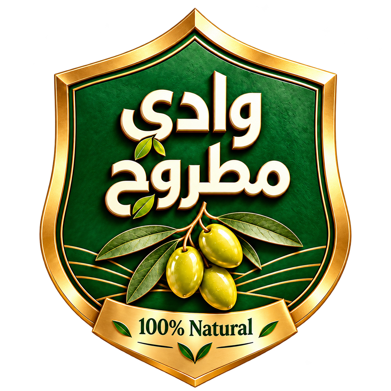 وادي مطروح
